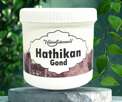 Hakim Suleman’s Hathikan Gond