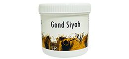 Hakim Suleman’s Gond Siyah (Kala Gond)